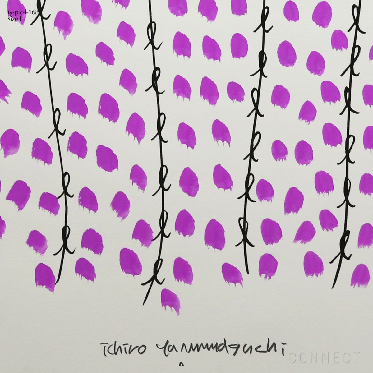 山口一郎 / Lサイズ / 藤 / iy-pic-l-168