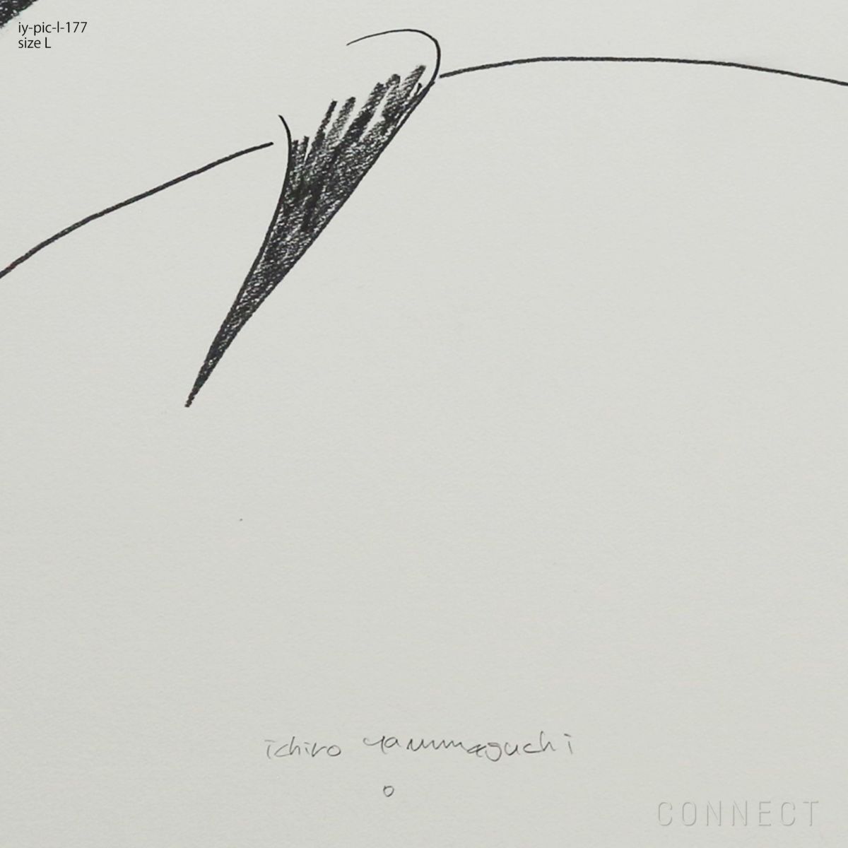 山口一郎 / Lサイズ / イルカ / iy-pic-l-177