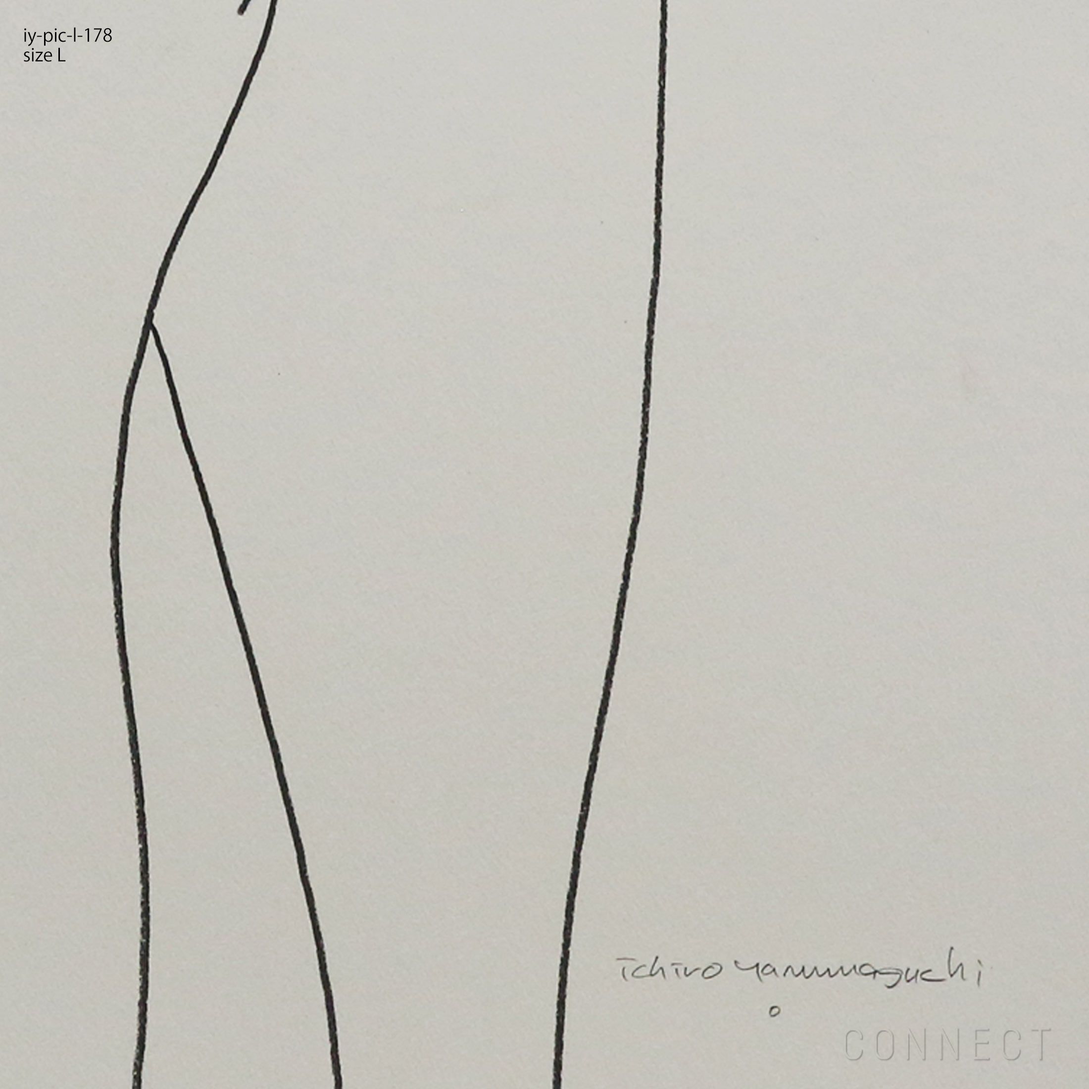 山口一郎 / Lサイズ / ホッキョクグマ / iy-pic-l-178