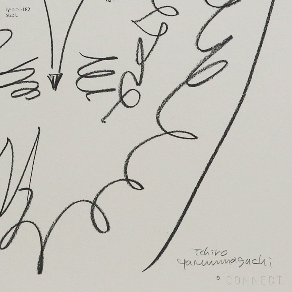 山口一郎 / Lサイズ / ライオン / iy-pic-l-182