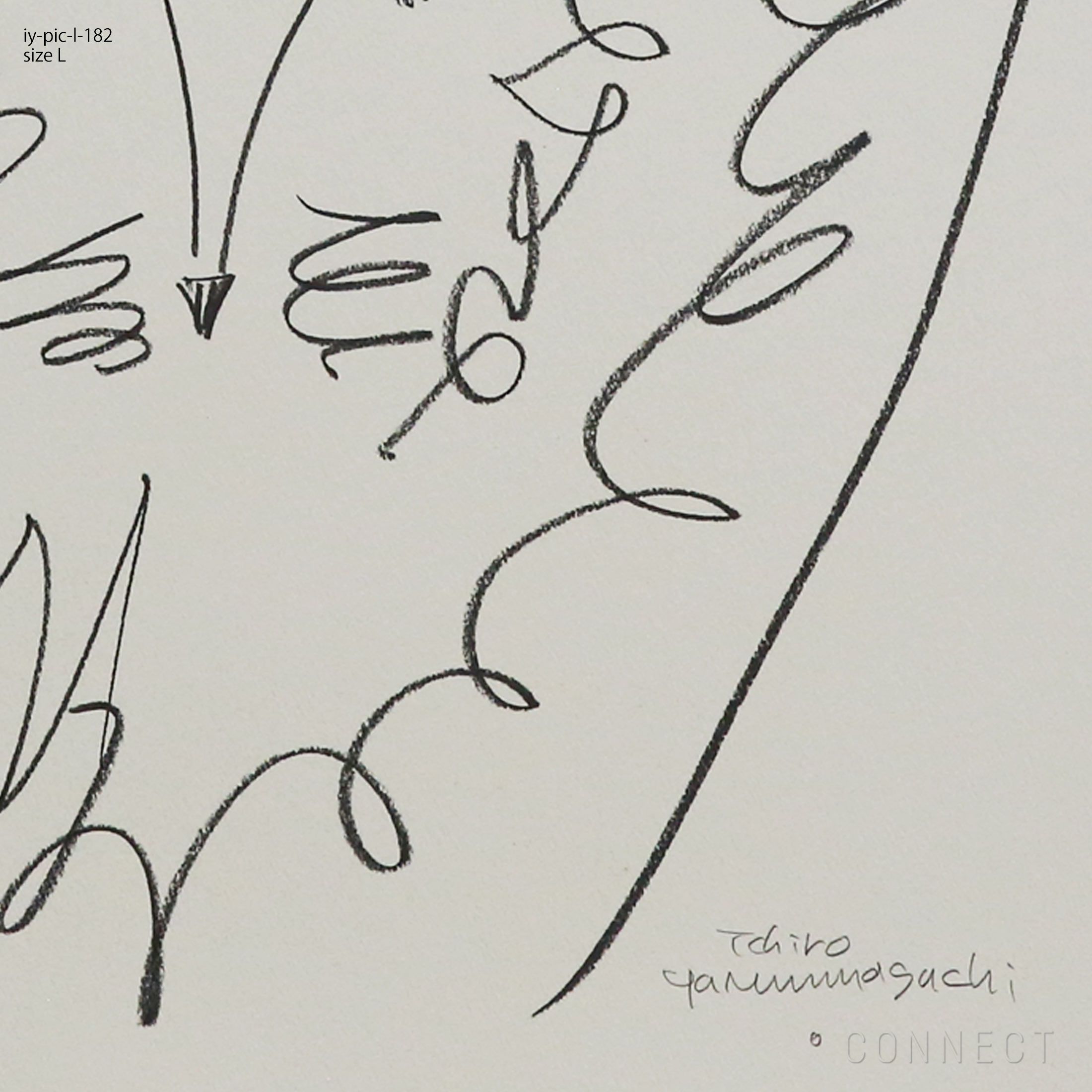 山口一郎 / Lサイズ / ライオン / iy-pic-l-182