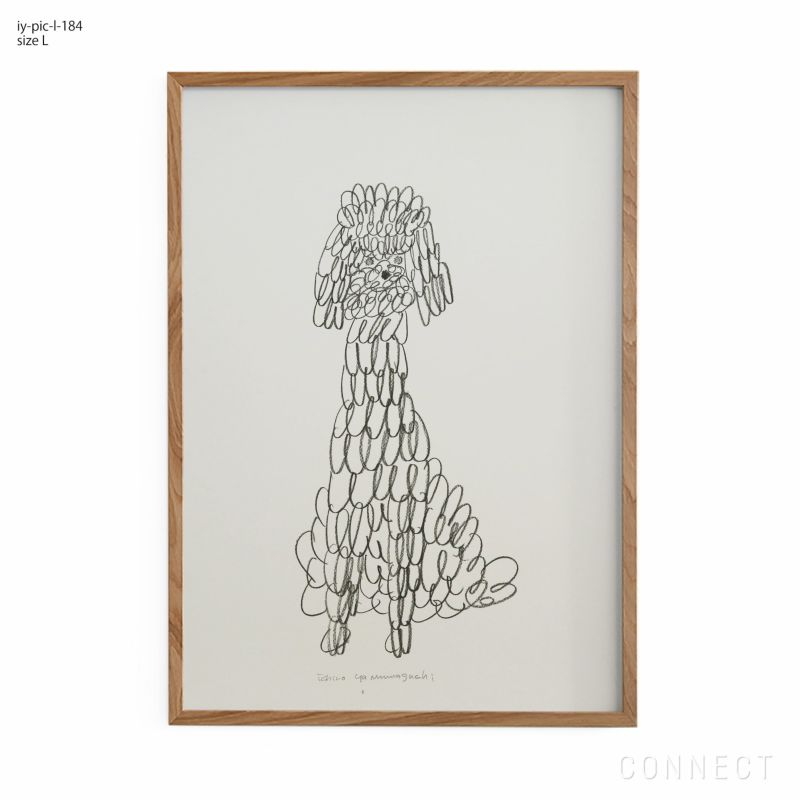 山口一郎 / Lサイズ / トイプードル / iy-pic-l-184