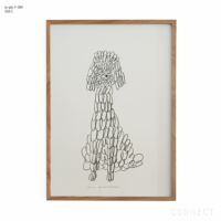 販売終了］山口一郎 / Lサイズ / トイプードル / iy-pic-l-184 | CONNECT