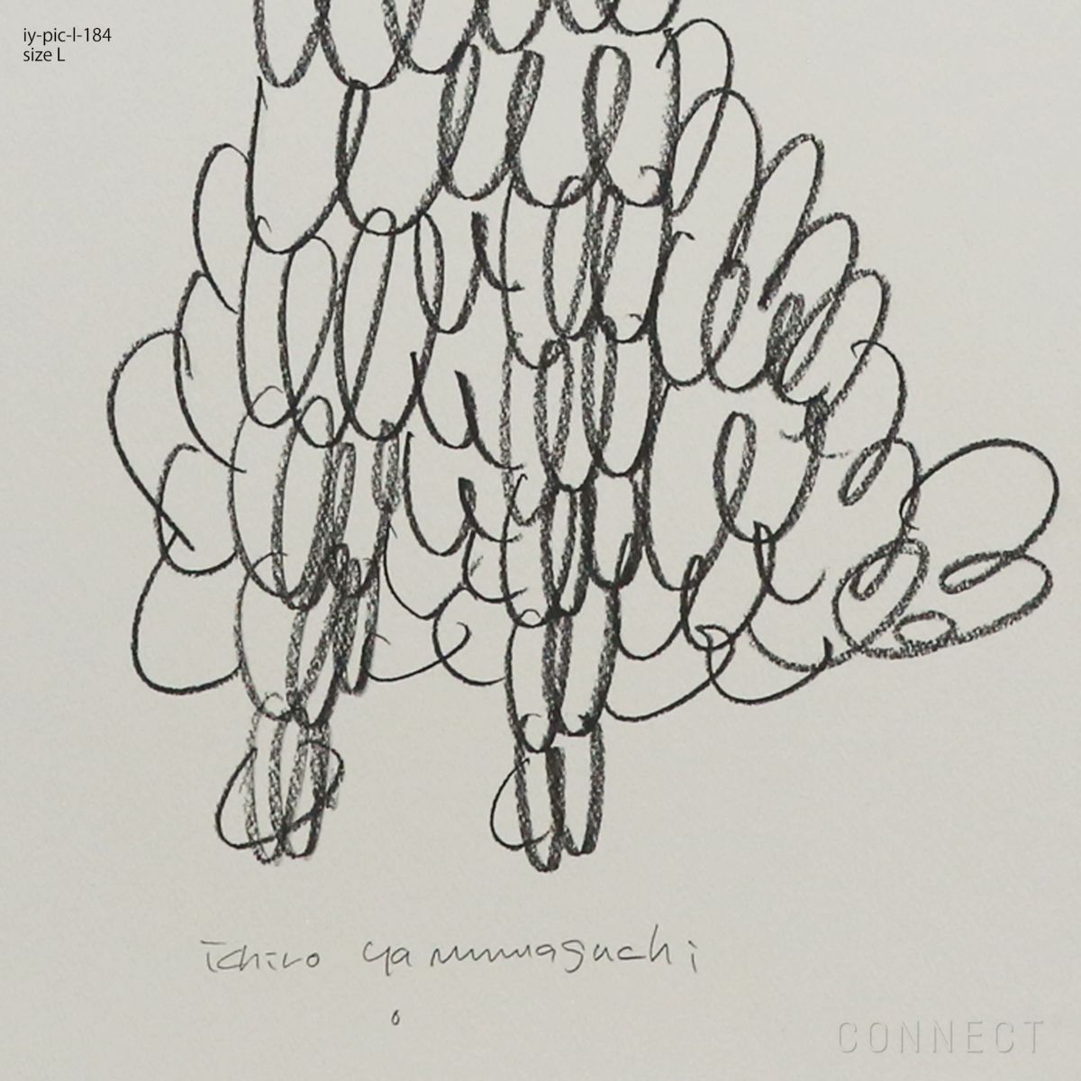 山口一郎 / Lサイズ / トイプードル / iy-pic-l-184