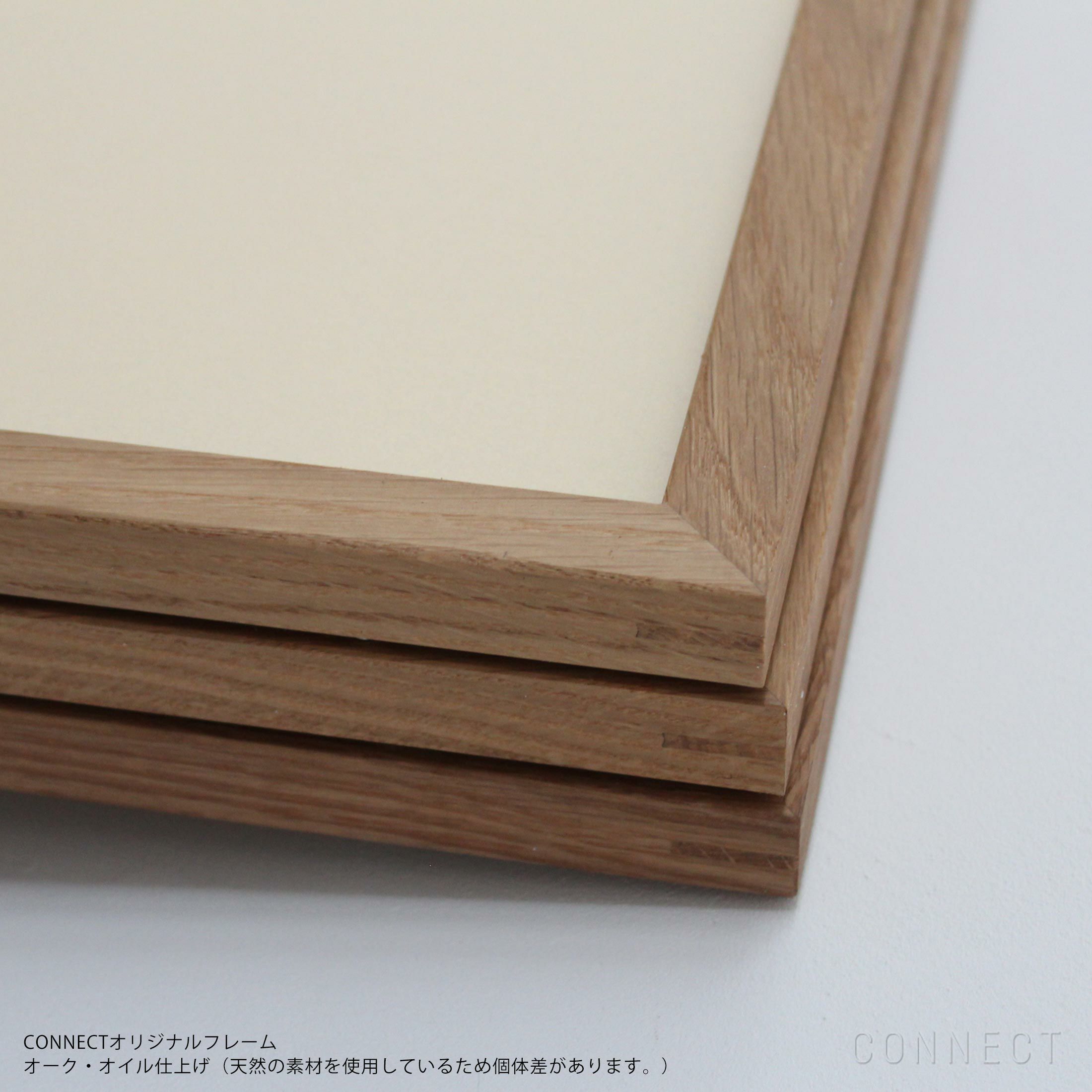 山口一郎 / Lサイズ / 猫 / iy-pic-l-185