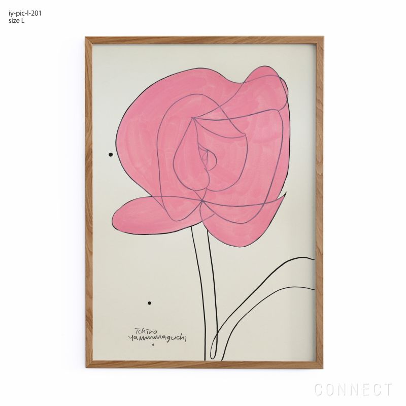 販売終了］山口一郎 / Lサイズ / ラナンキュラス / iy-pic-l-201 | CONNECT