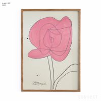 販売終了］山口一郎 / Lサイズ / ラナンキュラス / iy-pic-l-201 | CONNECT