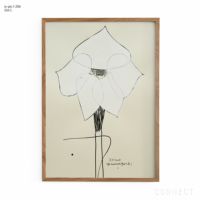 販売終了］山口一郎 / Lサイズ / クリスマスローズ / iy-pic-l-206