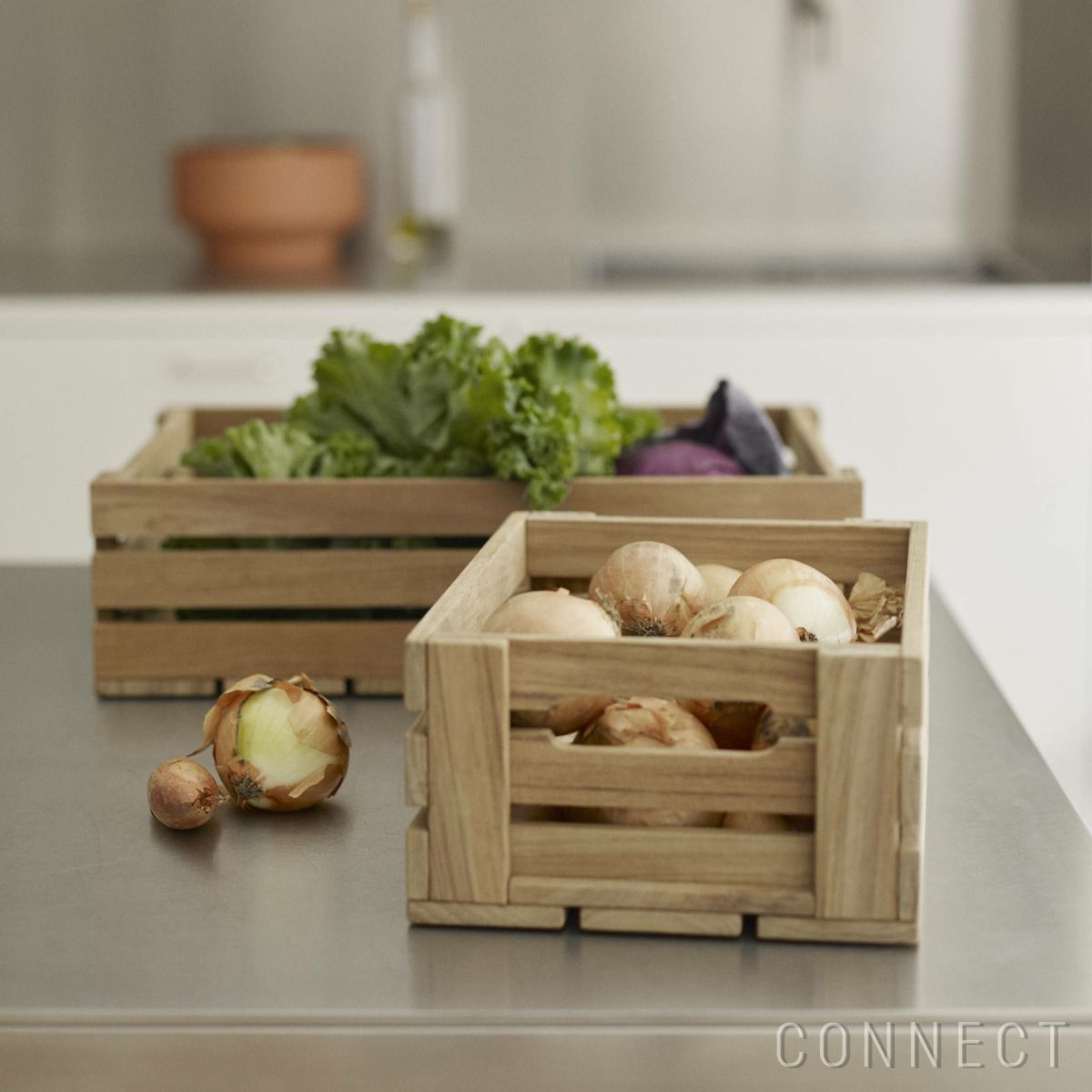 SKAGERAK（スカゲラック） / Dania Box 2（ダニア ボックス 2） / 収納