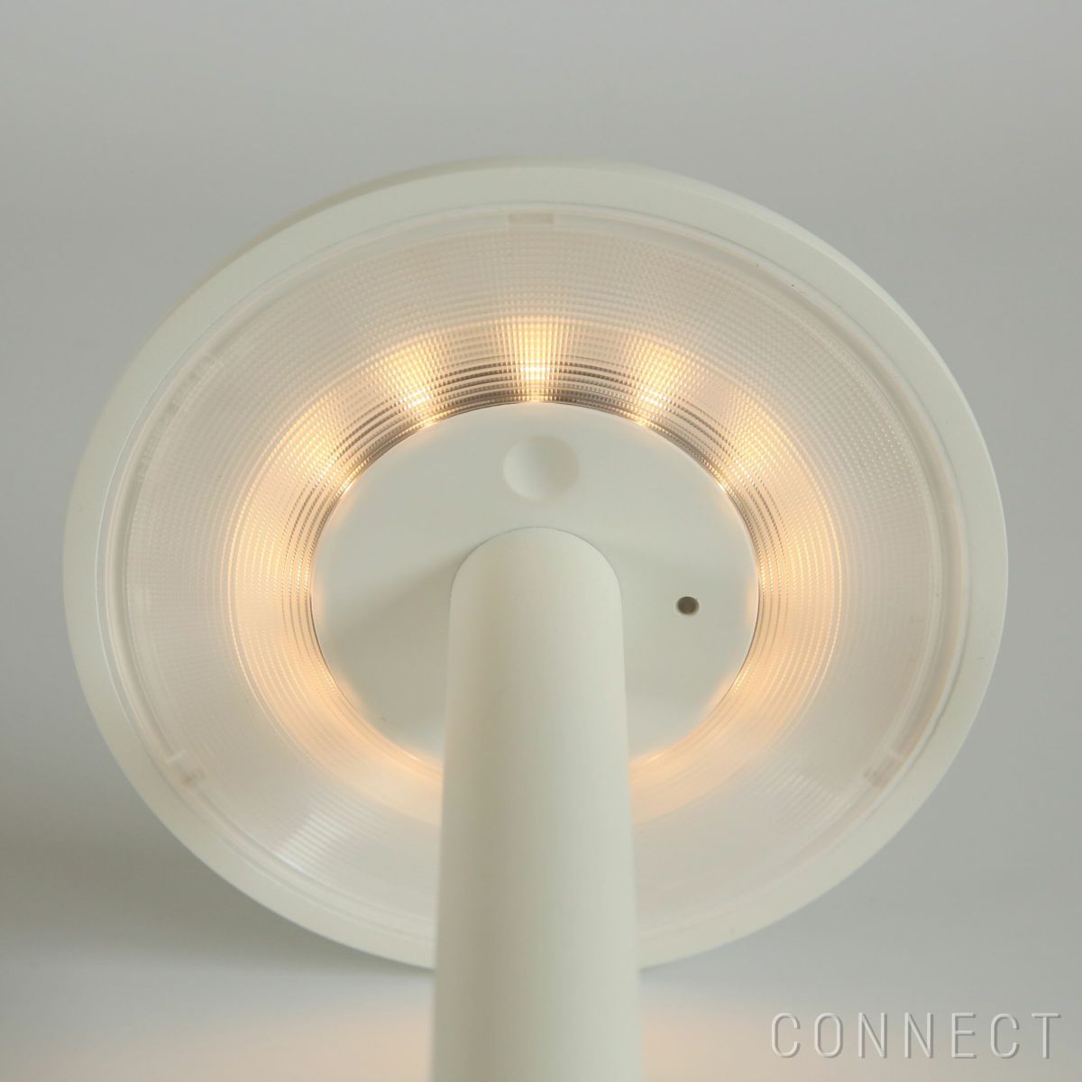 FLOS（フロス） / GUSTAVE（グスタヴ） / マットカラー / 全2色 / テーブルランプ