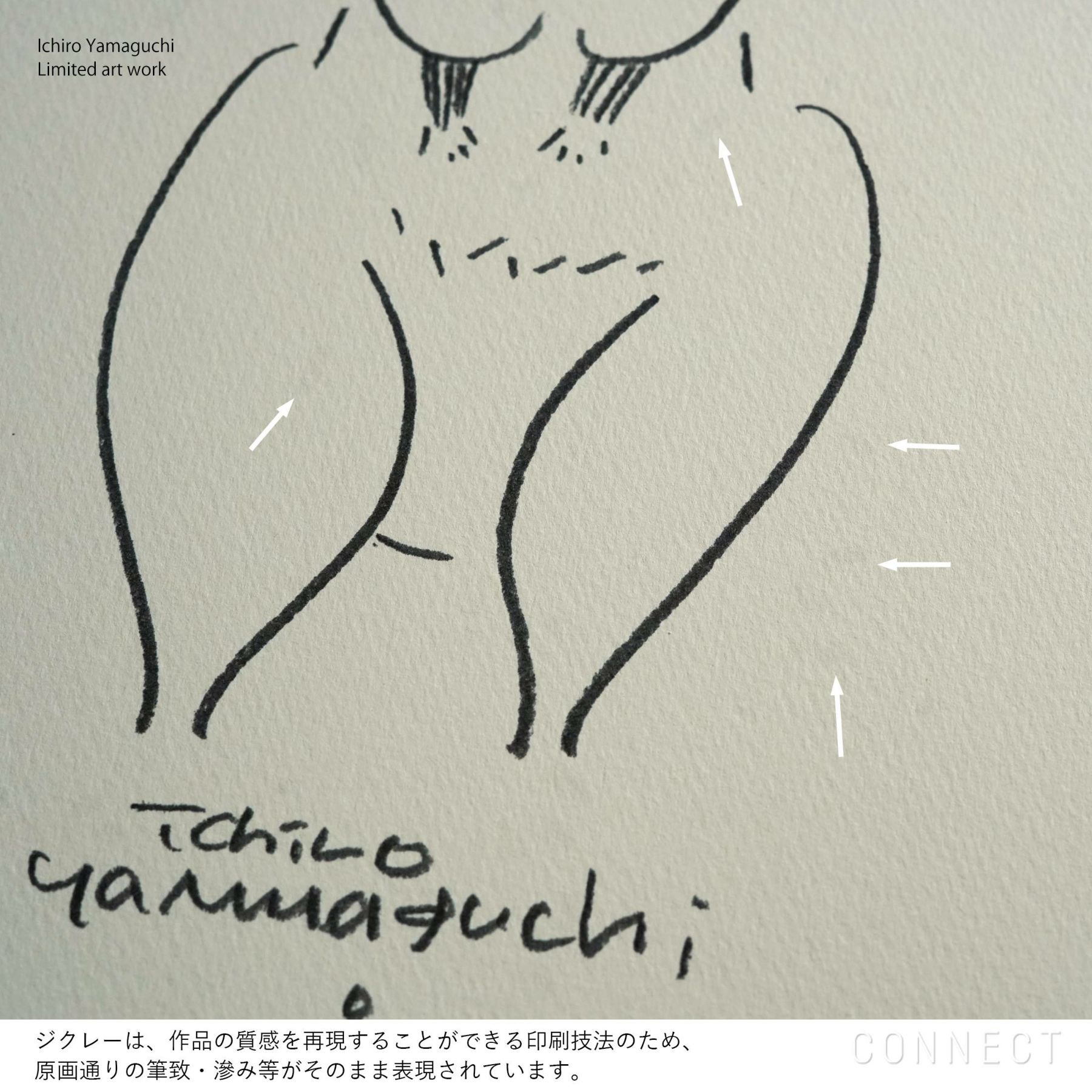 【数量限定】山口一郎 / Giclee（ジクレー印刷）「クオッカ」 / Sサイズ / アートポスター