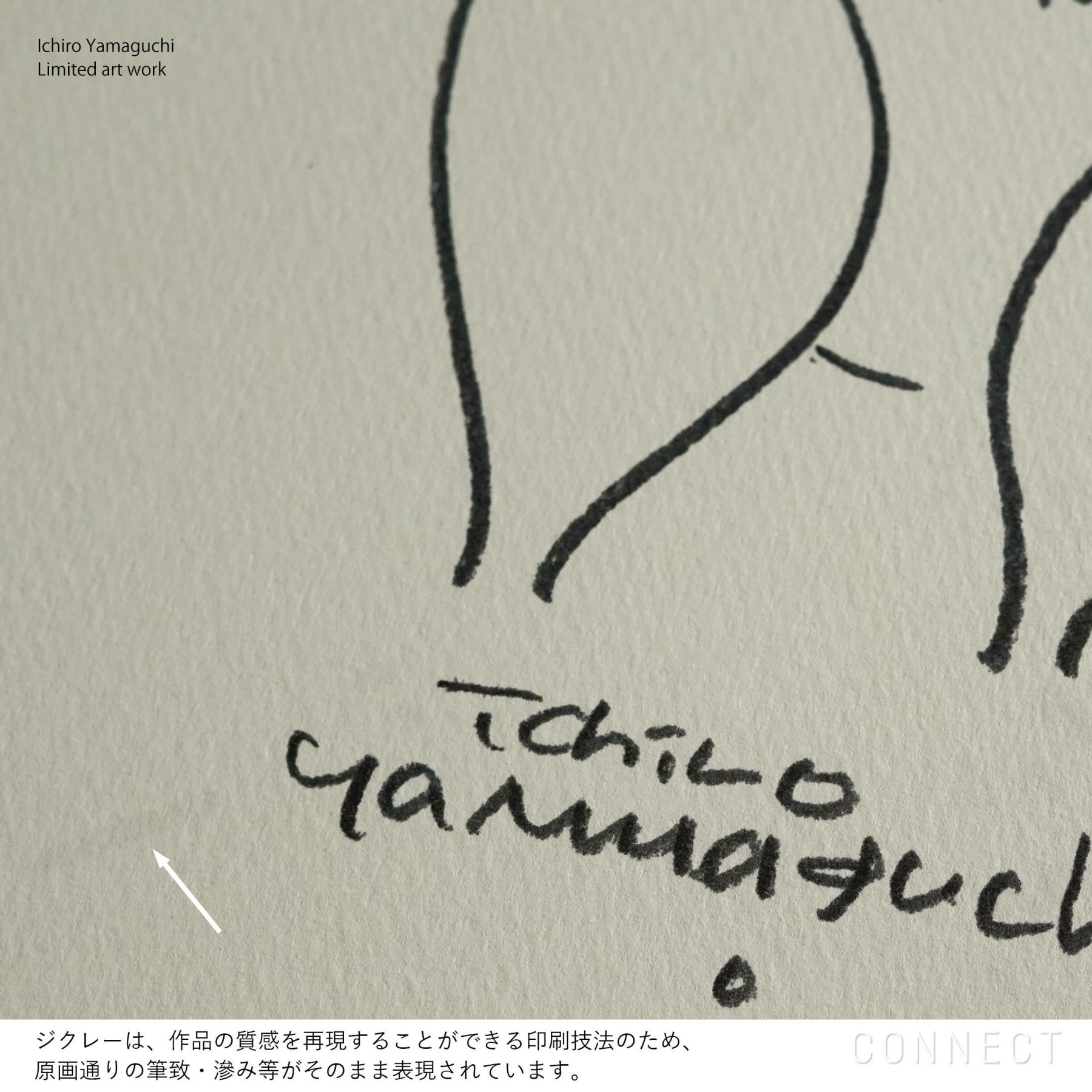 【数量限定】山口一郎 / Giclee（ジクレー印刷）「クオッカ」 / Sサイズ / アートポスター