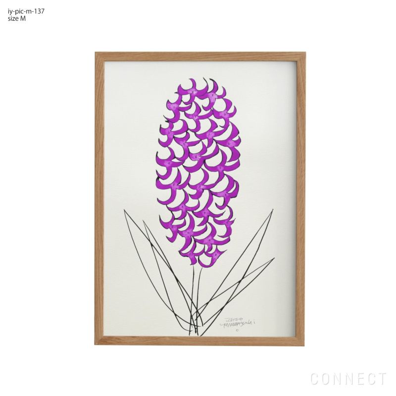 販売終了］山口一郎 / Mサイズ / 花 / iy-pic-m-137 《令和6年能登半島