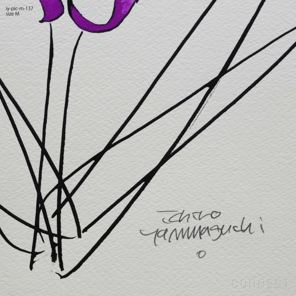 山口一郎 / Mサイズ / 花 / iy-pic-m-137 / 《令和6年能登半島地震チャリティ》