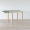 Artek（アルテック） / TABLE DL81C（ドロップリーフテーブル） / folding table / バーチ材 / 天板・ピスタチオ オリーブリノリウム / 79-112.5×75cm / 伸長式テーブル