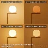 【交換用】FLOS（フロス） / G9 / ハロピン電球 / フロスト 110V 60W
