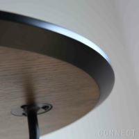Audo Copenhagen（オドー・コペンハーゲン） / BRANCH SIDE TABLE（ブランチ サイドテーブル） / ダークステインドオーク