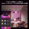 Philips Hue（フィリップスヒュー） / フルカラー E26 LED電球 100W形相当 PH10WC1 / スマート電球