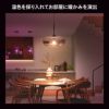 Philips Hue（フィリップスヒュー） / フルカラー E26 LED電球 100W形相当 PH10WC1 / スマート電球