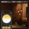 Philips Hue（フィリップスヒュー） / フィラメント ホワイトグラデーション E26 電球 一般電球形 40W相当 PHFL60 / スマート電球