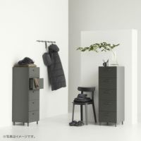 String Furniture（ストリング ファニチャー） / Relief tall ash / legs（レリーフ） / W41×D41×H115cm / アッシュ / ハイチェスト