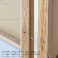 【数量限定】山口一郎 / Giclee（ジクレー印刷）「ネコ」 / Mサイズ / アートポスター