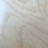 【アウトレット】Artek（アルテック） / TABLE 90A / バーチ材 / ラウンドテーブル / φ100cm