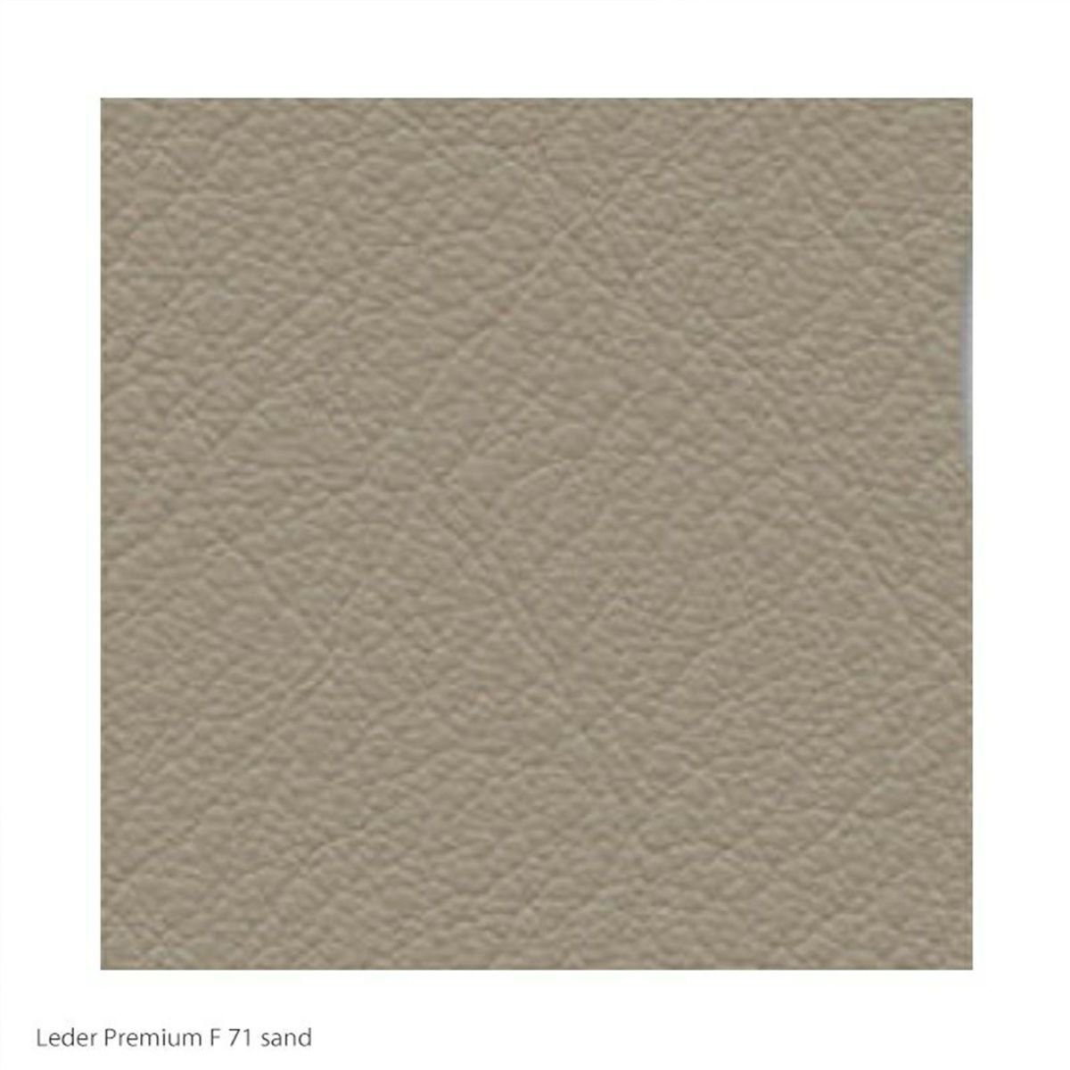 【アウトレット】Vitra（ヴィトラ） / Mikado（ミカド） / アームチェア / Leather Premium F（レザープレミアムF）sand / オーク