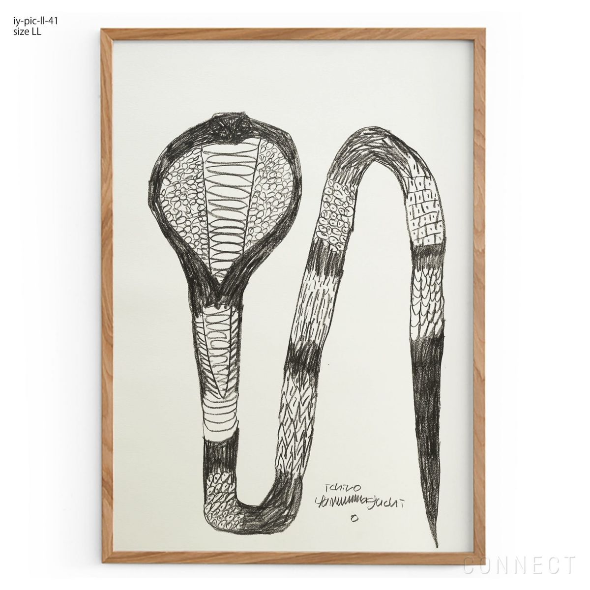 山口一郎 / LLサイズ / 干支コブラ / iy-pic-ll-41