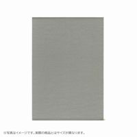 KASTHALL（カスタール） / Gryn（グリュン） / Oresund 552（170×240cm） / ラグ