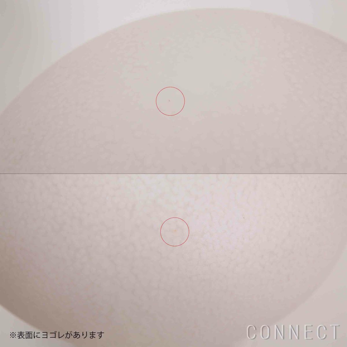 【アウトレット】MAGIS（マジス） / LINNUT（リンナット） / Palturi（パルトゥリ） / マスコットランプ