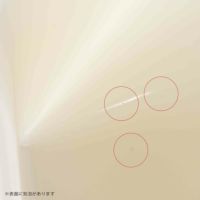 【アウトレット】HAY（ヘイ） / PARADE TABLE LAMP M（パレードテーブルランプ） / シェルホワイト《新生活応援 pt10倍》