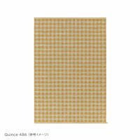 KASTHALL（カスタール） / VICHY SELECTION（ヴィシー セレクション） / 195×300cm / ラグ