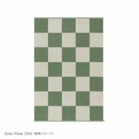 KASTHALL（カスタール） / CHECKERBOARD SELECTION（チェッカーボード セレクション） / 165×240cm / ラグ