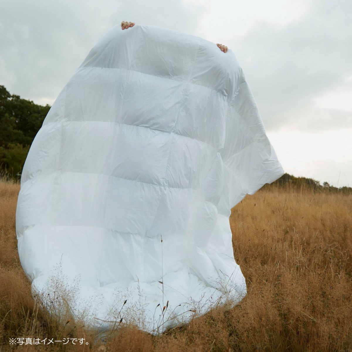 NORDIC SLEEP（ノルディック スリープ） / ノルディック スリープ デュベ ウィンター / ダブル（190×210cm） / 掛け布団