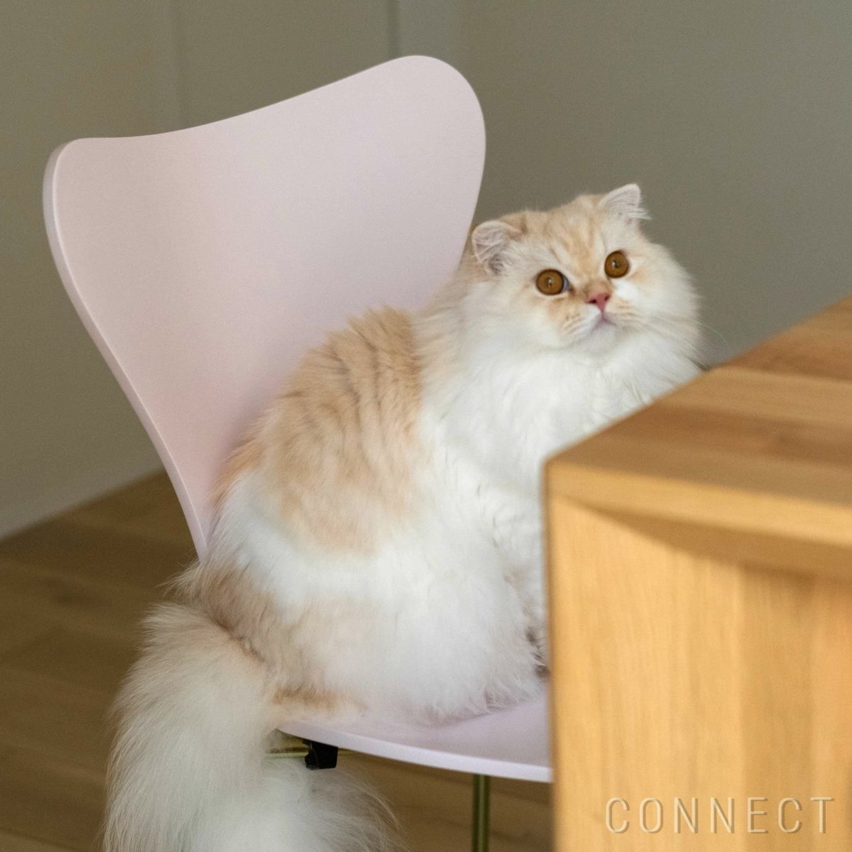 【70周年記念モデル】FRITZ HANSEN（フリッツ・ハンセン） / SERIES 7（セブンチェア） / 7:14AM / ラッカー / レインボー（スチール脚・亜鉛クローム仕上げ） 《2025年限定脚カラー》