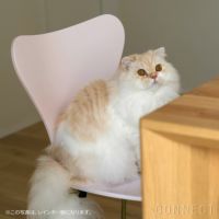 【70周年記念モデル】FRITZ HANSEN（フリッツ・ハンセン） / SERIES 7（セブンチェア） / 7:14AM / ラッカー（ピンク） / スチール脚（クローム仕上げ）