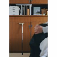 Vilhelm Hertz（ヴィルヘルム・ハーツ） / Vilhelm Hertz Cane（ヴィルヘルム・ハーツ・ケーン） / T字杖