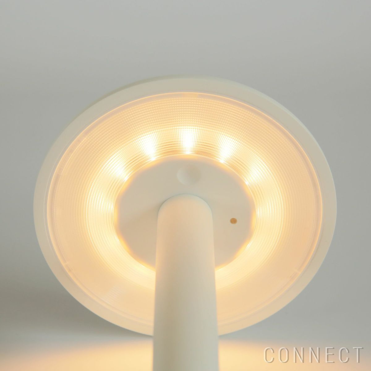 【アウトレット】FLOS（フロス） / GUSTAVE（グスタヴ） / マットカラー / マットホワイト / テーブルランプ