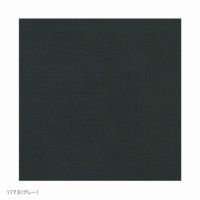 FRITZ HANSEN（フリッツ・ハンセン） / EGG（エッグチェア） / ラウンジチェア / Christianshavn（クリスチャンハウン） / ステンレススチール脚（サテン仕上げ）