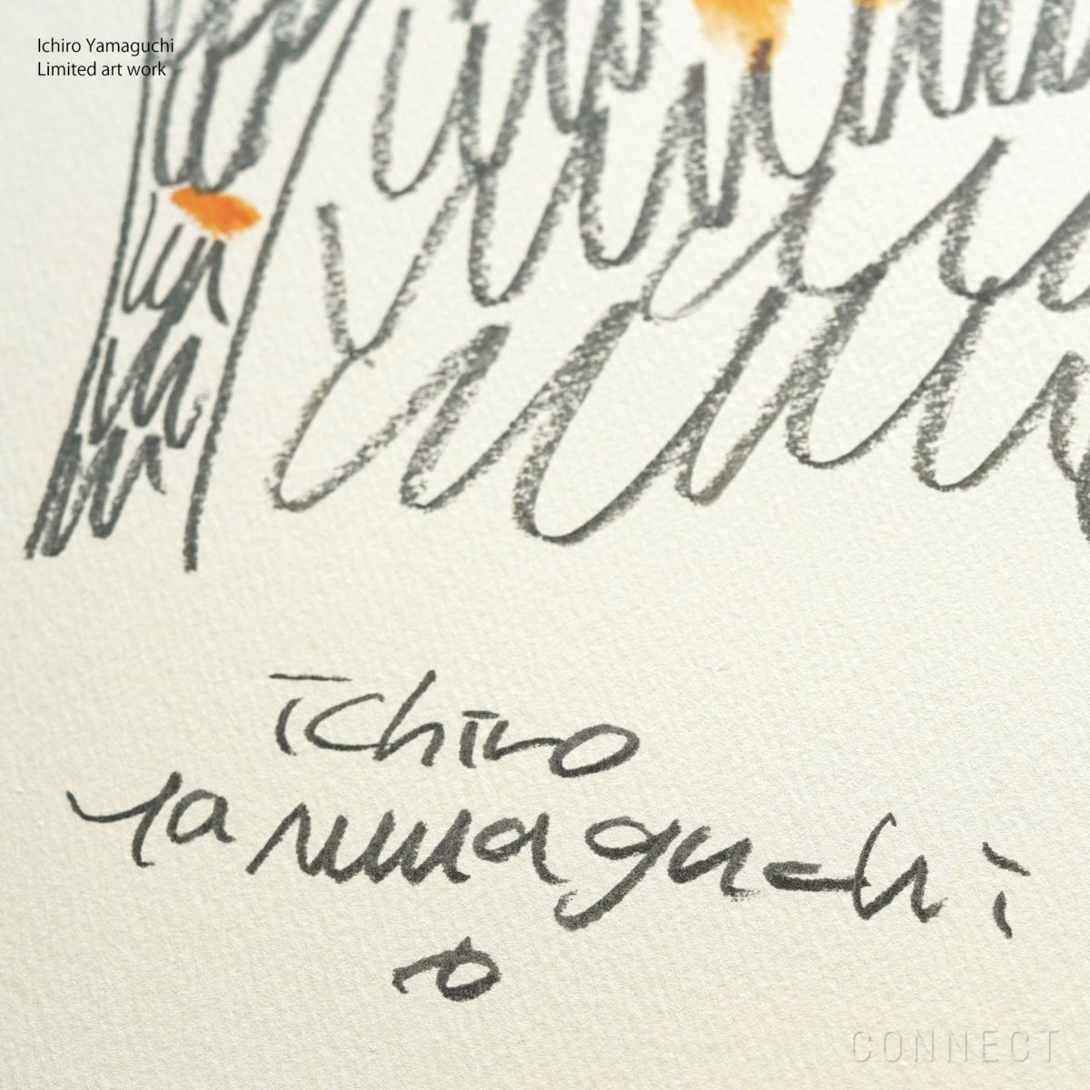 【再販】山口一郎 / Giclee（ジクレー印刷）「猫」 / Mサイズ / アートポスター