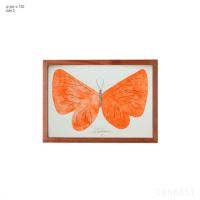 山口一郎　原画　蝶々 Lサイズ 山口一郎 原画 蝶々 Lサイズ 山口一郎 原画 蝶々 Lサイズ