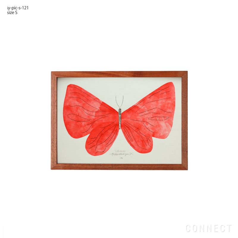 山口一郎 / Sサイズ / 蝶 / iy-pic-s-121