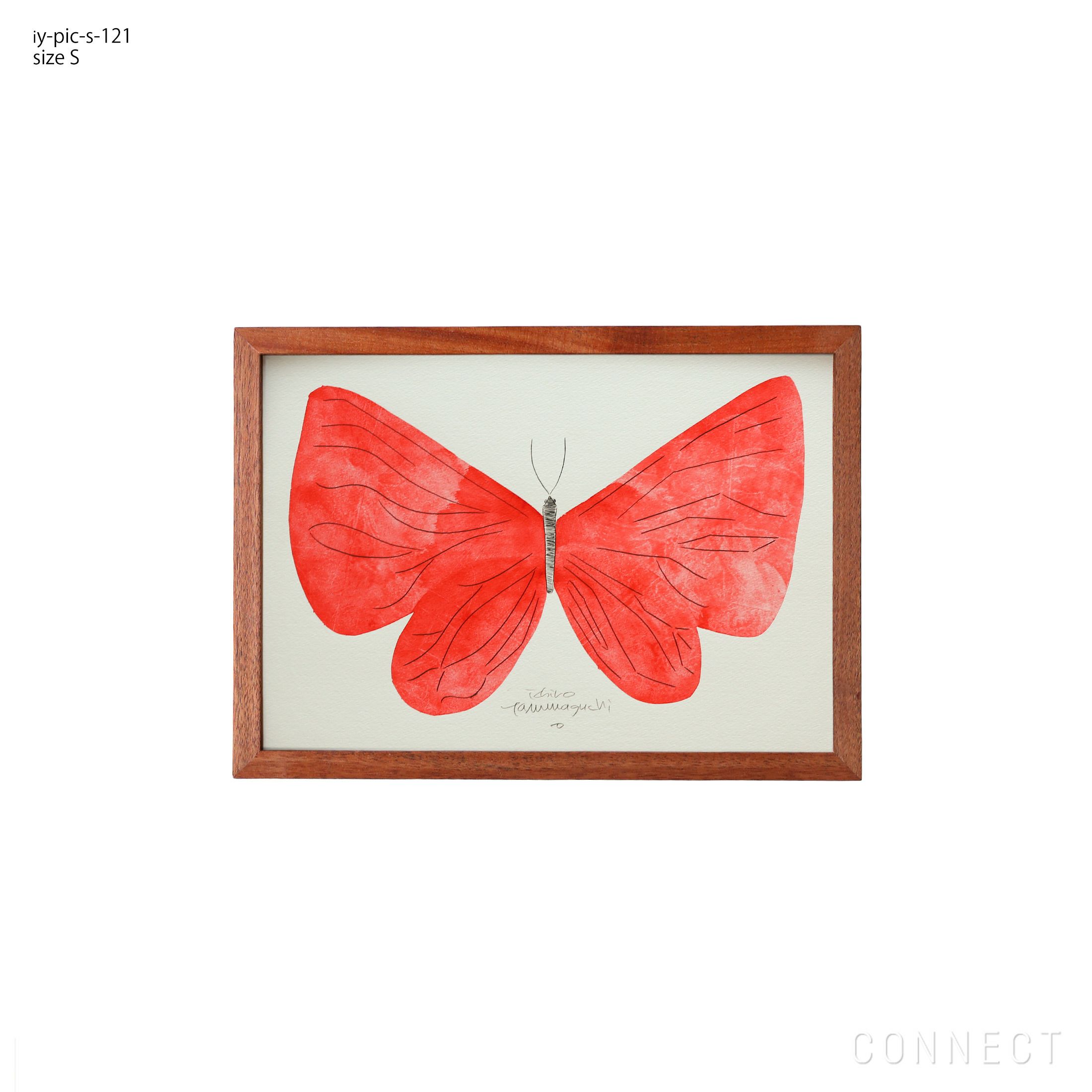 販売終了］山口一郎 / Sサイズ / 蝶 / iy-pic-s-120 | CONNECT
