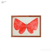 山口一郎 / Sサイズ / 蝶 / iy-pic-s-121