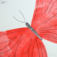 山口一郎 / Sサイズ / 蝶 / iy-pic-s-121