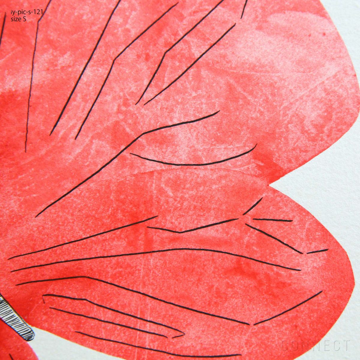 山口一郎 / Sサイズ / 蝶 / iy-pic-s-121