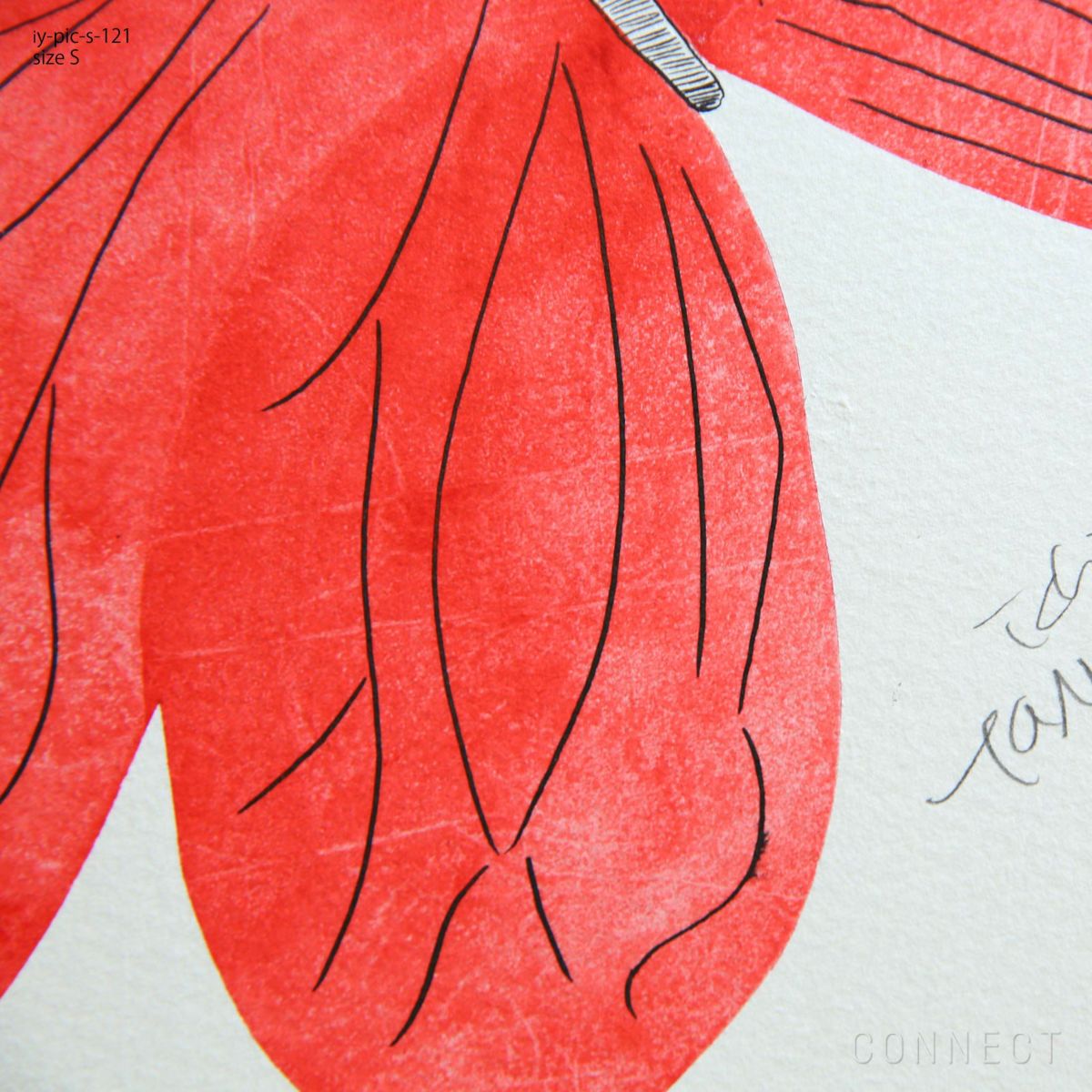 山口一郎 / Sサイズ / 蝶 / iy-pic-s-121