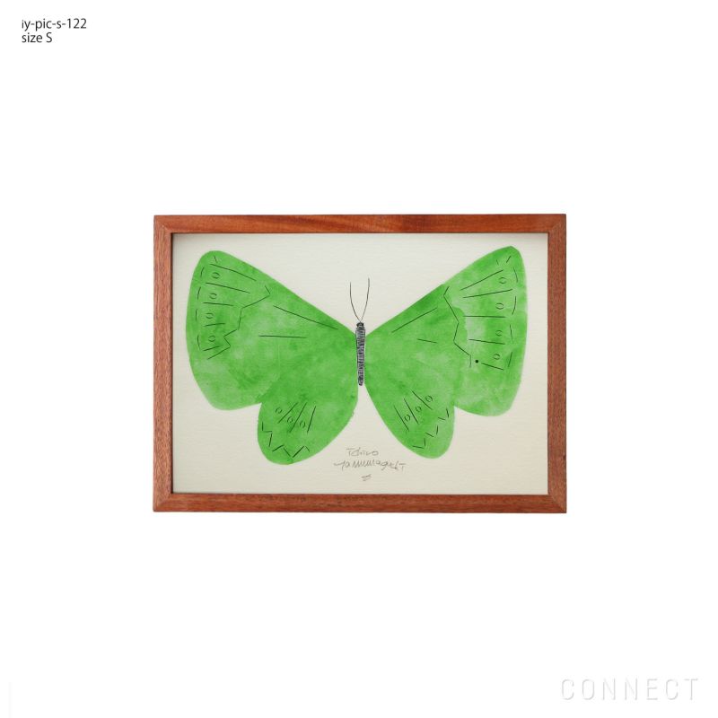 山口一郎 / Sサイズ / 蝶 / iy-pic-s-122
