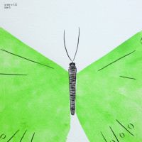 山口一郎 / Sサイズ / 蝶 / iy-pic-s-122